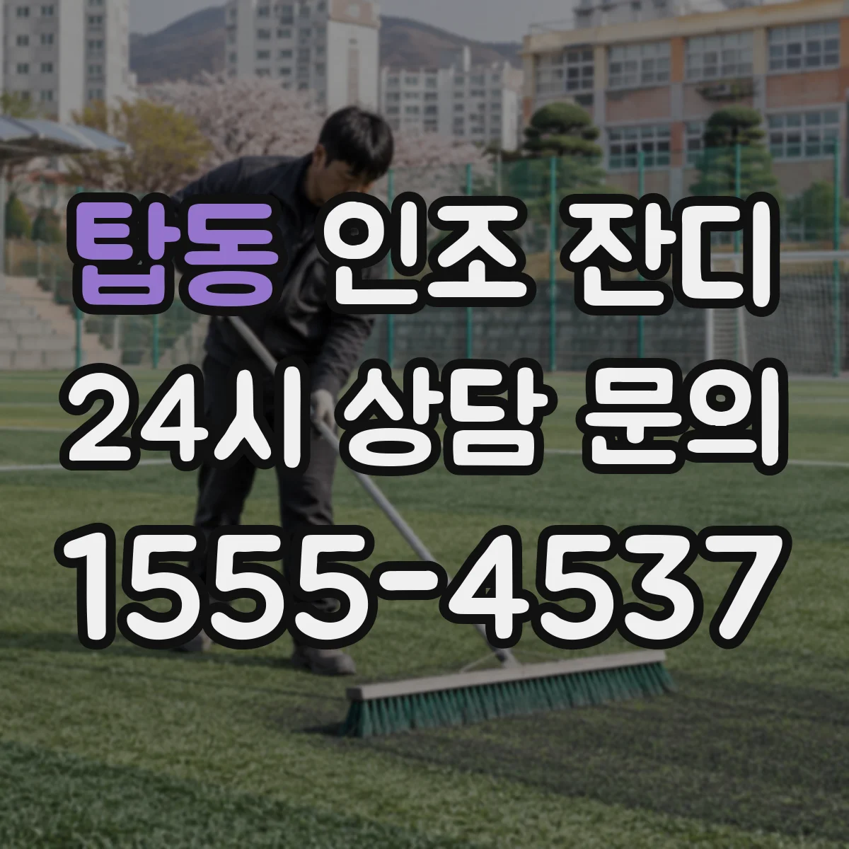 탑동 인조 잔디
