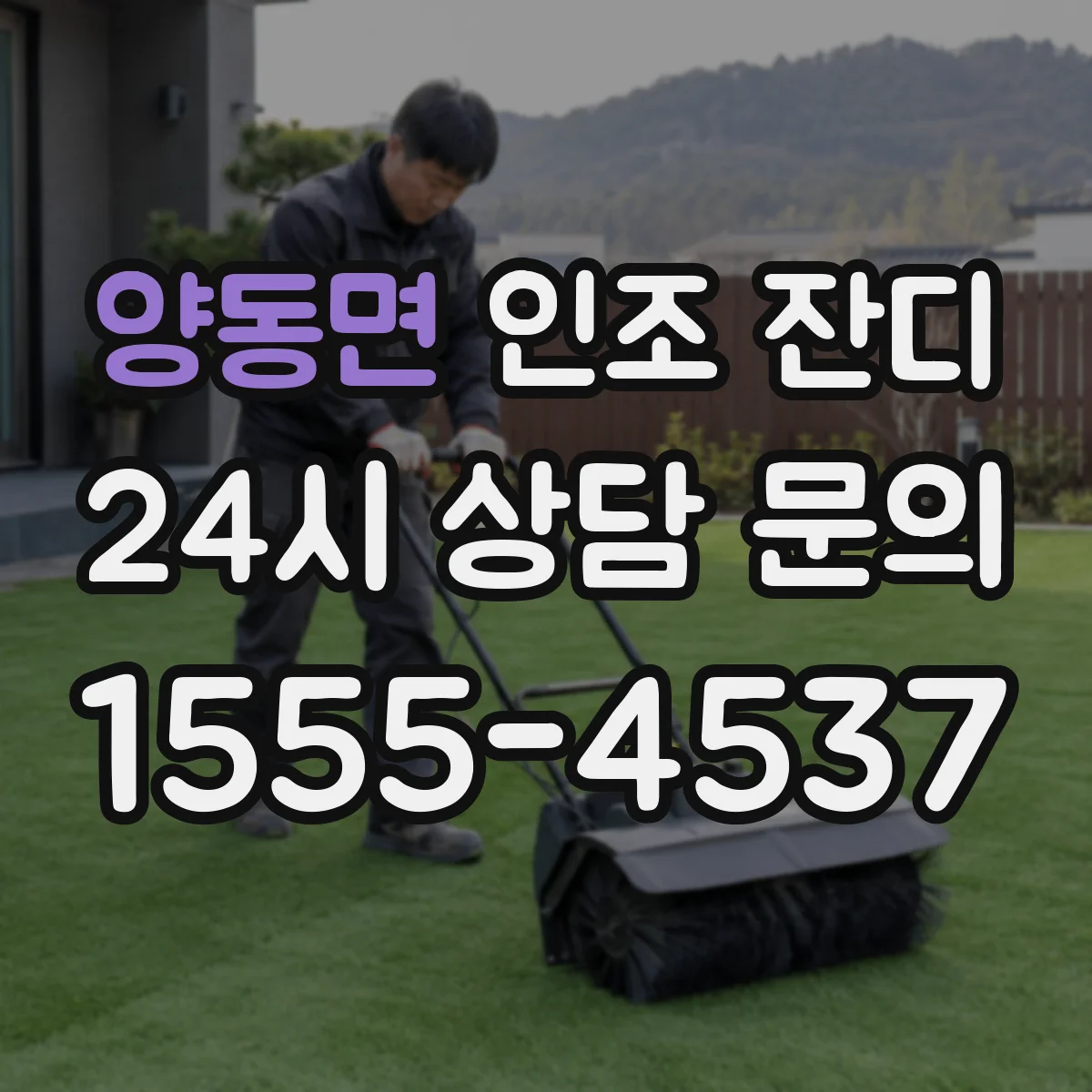 양동면 인조 잔디