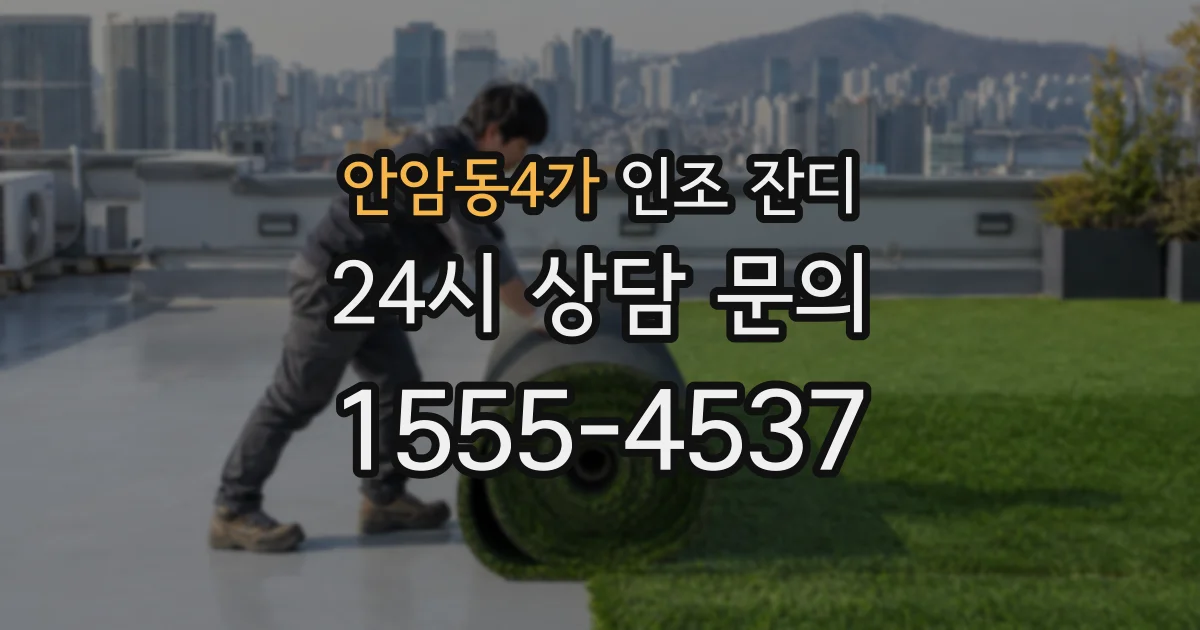 안암동4가 인조 잔디