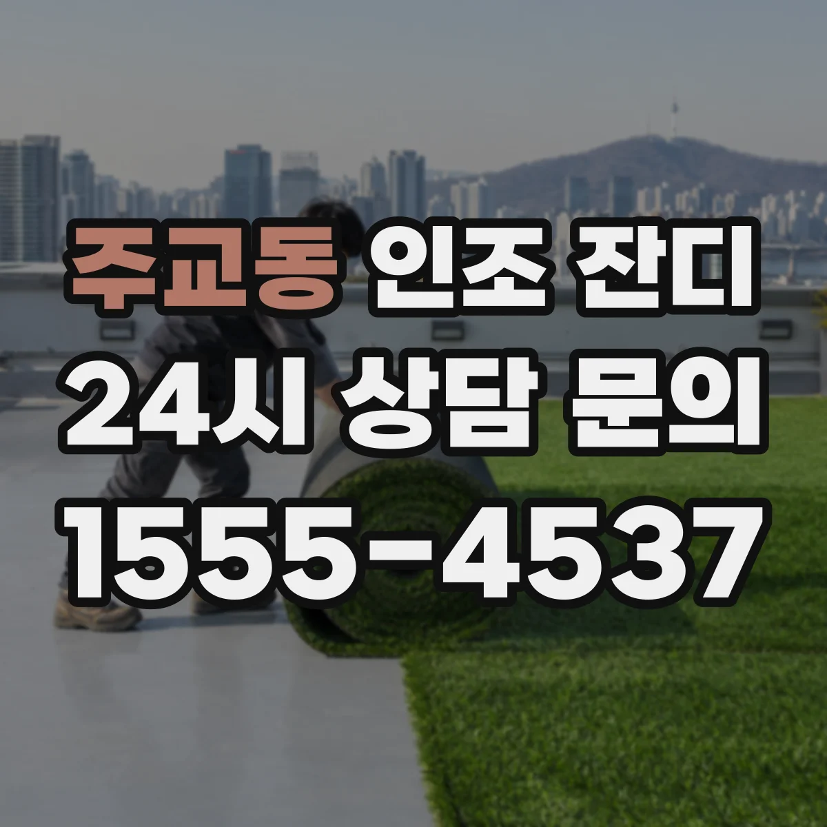 주교동 인조 잔디