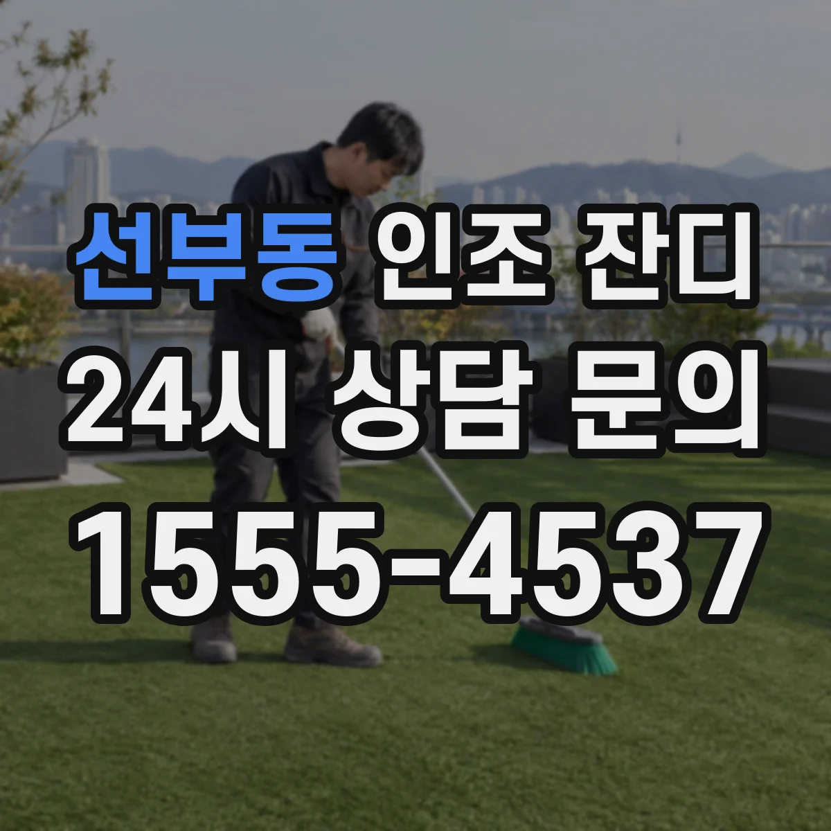 선부동 인조 잔디