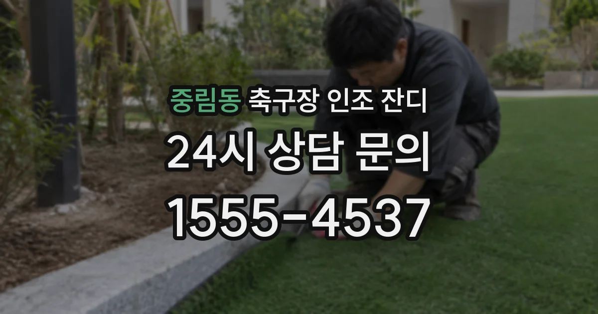 중림동 축구장 인조 잔디