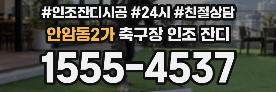 안암동2가 축구장 인조 잔디