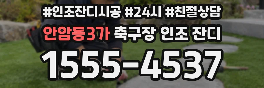 안암동3가 축구장 인조 잔디