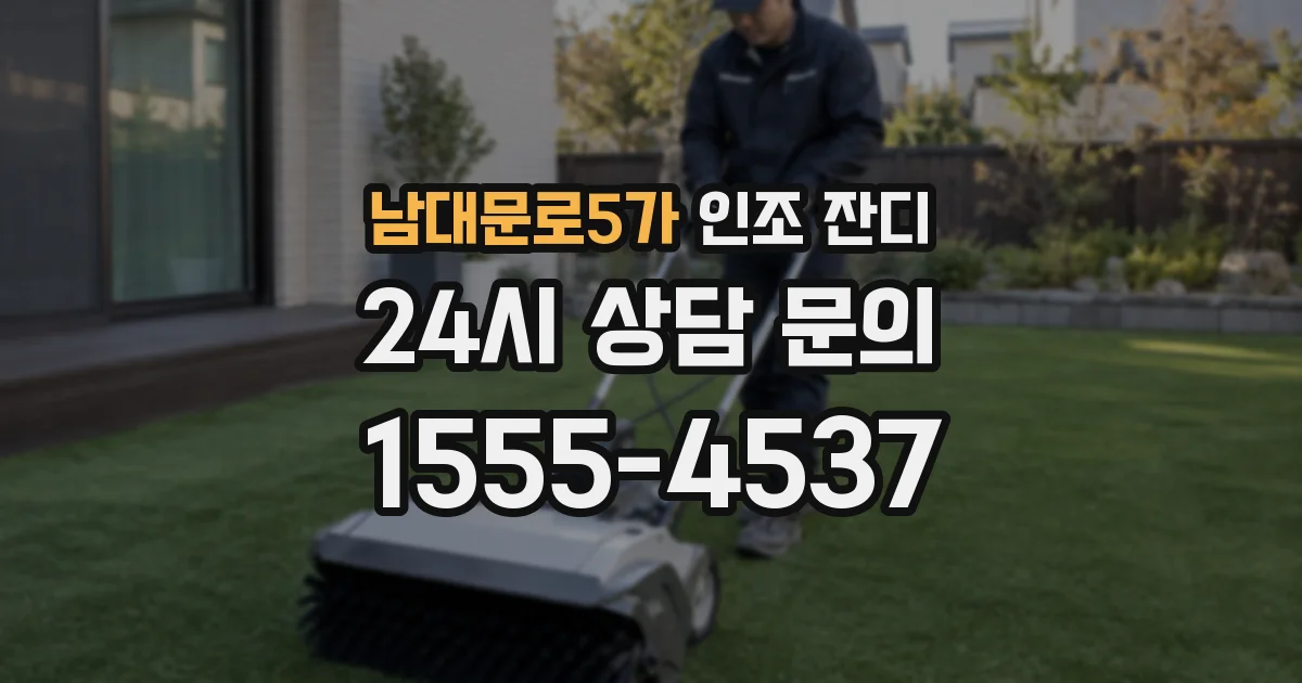 남대문로5가 인조 잔디