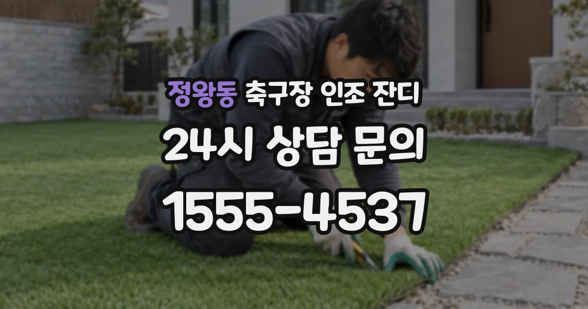 정왕동 축구장 인조 잔디