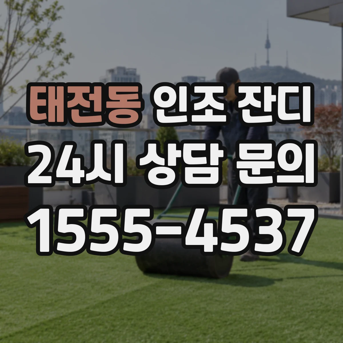 태전동 인조 잔디