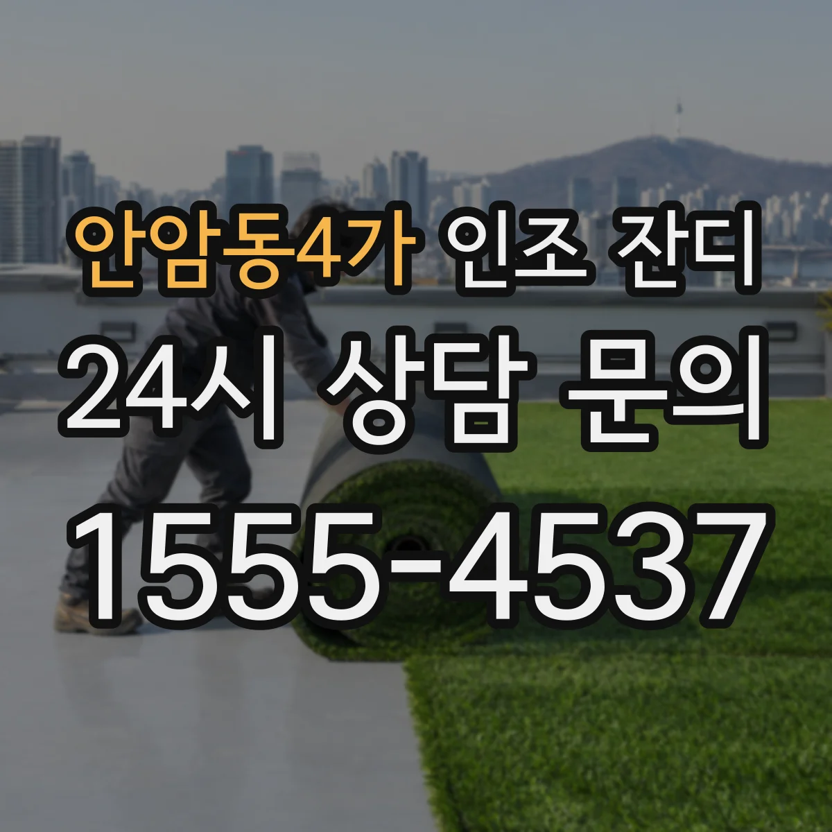 안암동4가 인조 잔디