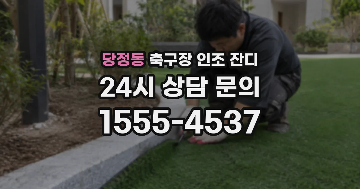 당정동 축구장 인조 잔디