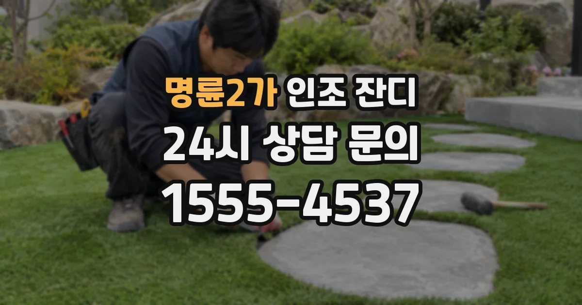 명륜2가 인조 잔디