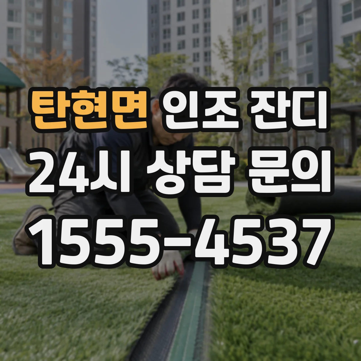 탄현면 인조 잔디
