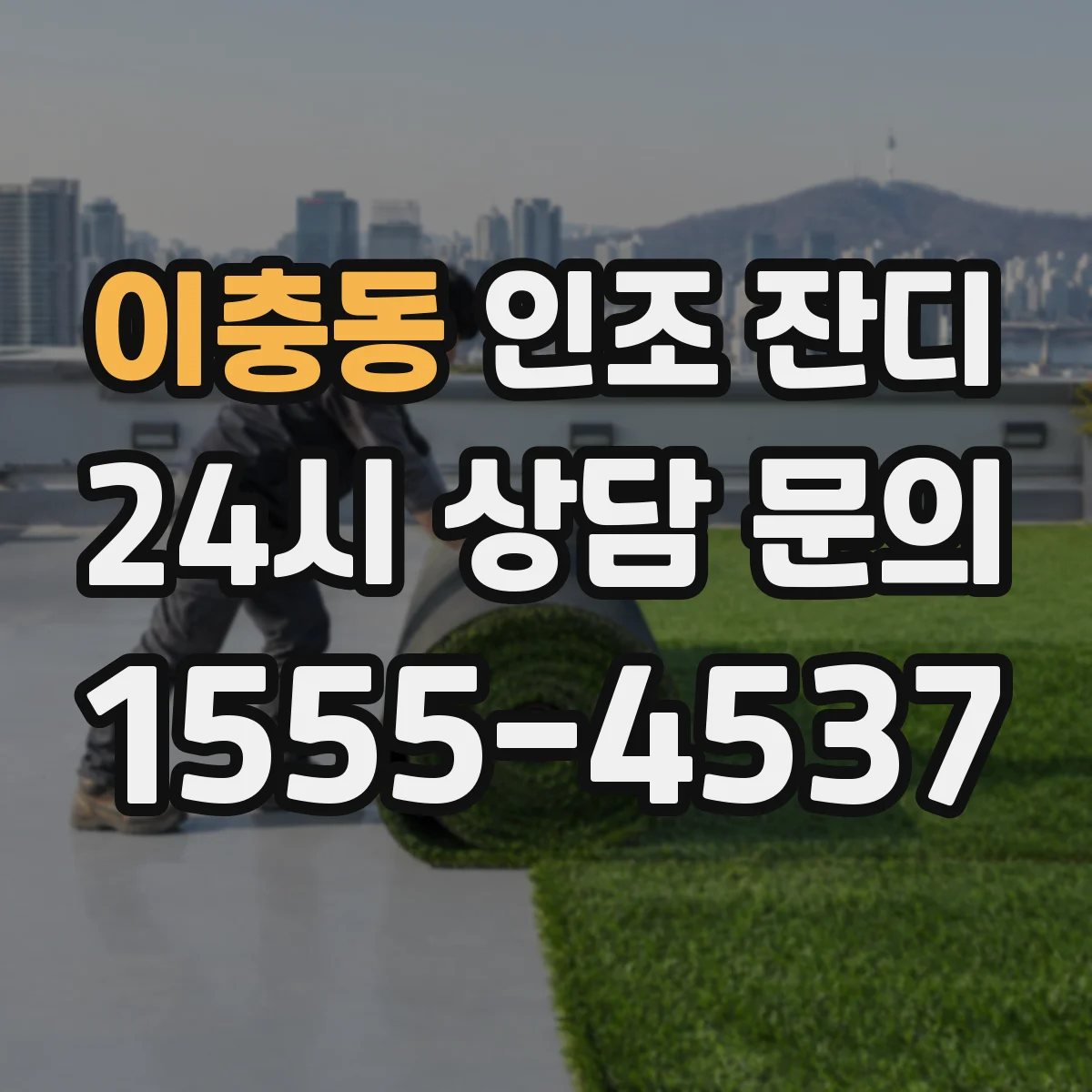 이충동 인조 잔디