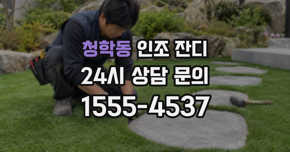 청학동 인조 잔디