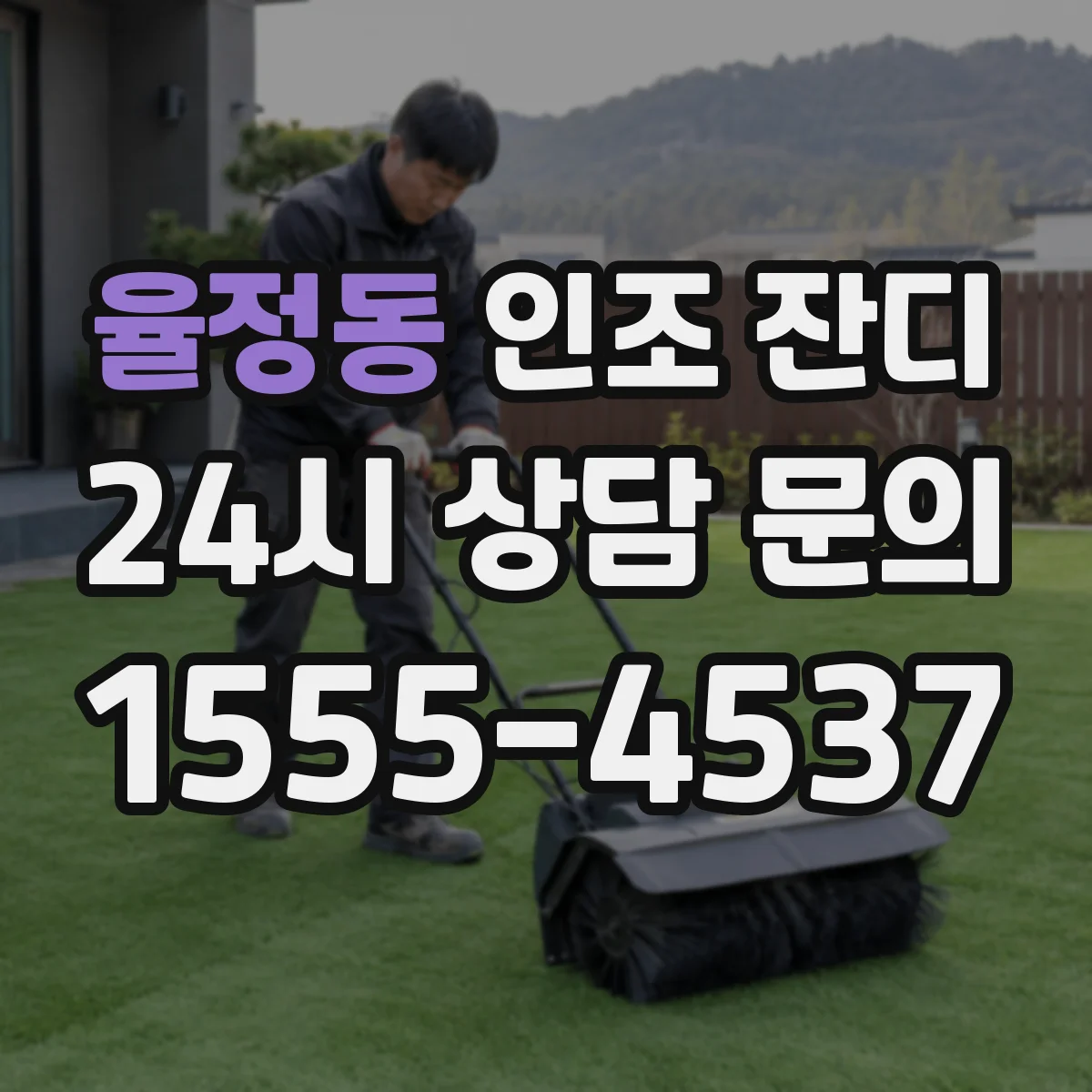 율정동 인조 잔디