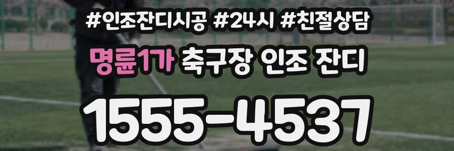 명륜1가 축구장 인조 잔디