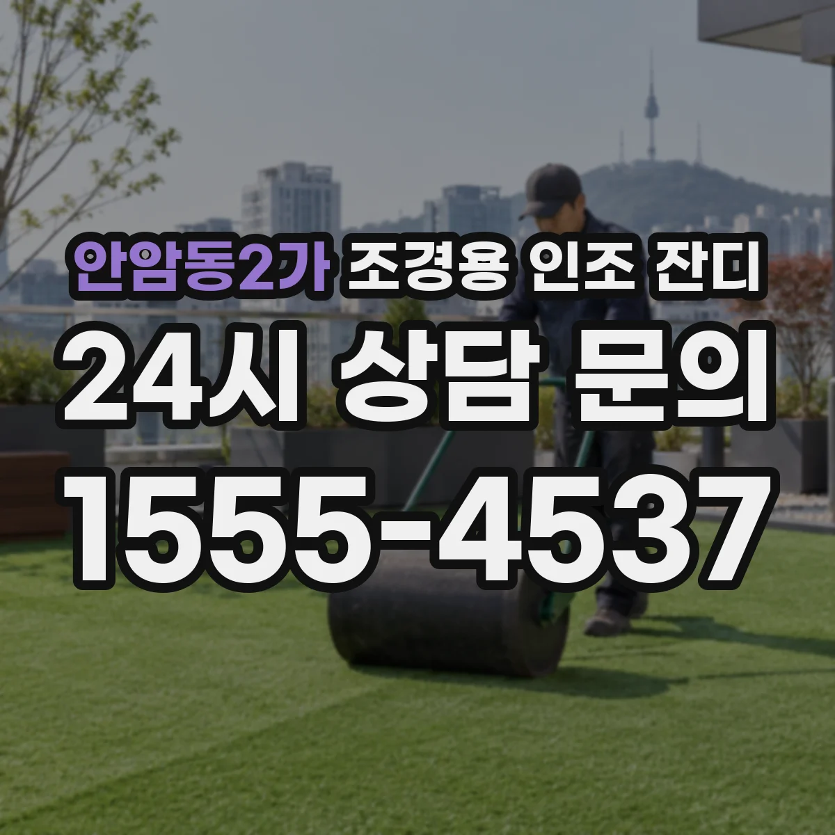 안암동2가 조경용 인조 잔디