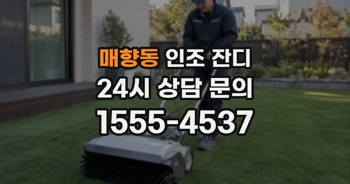 매향동 인조 잔디