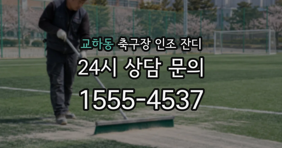 교하동 축구장 인조 잔디
