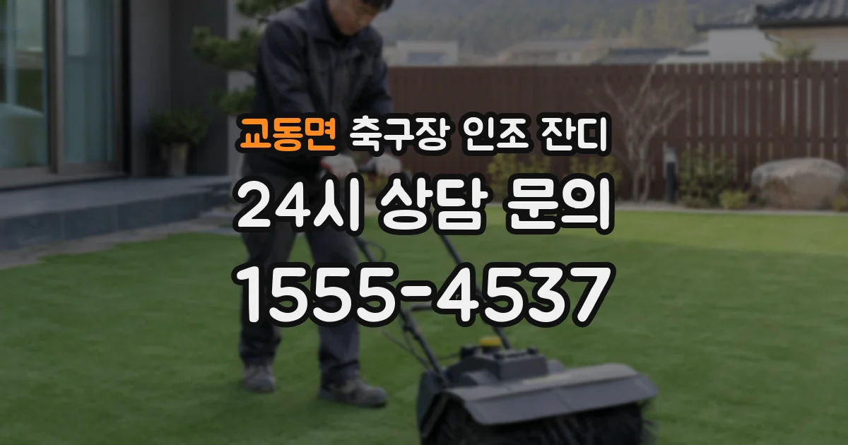 교동면 축구장 인조 잔디