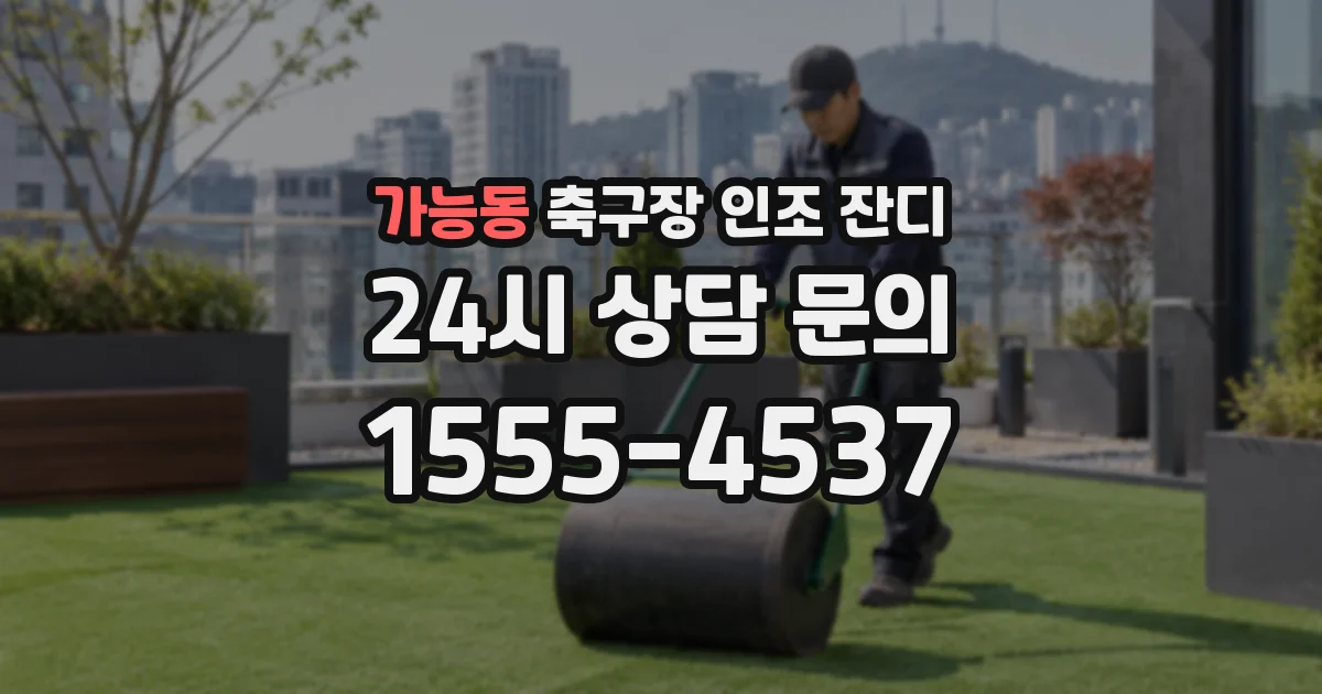 가능동 축구장 인조 잔디