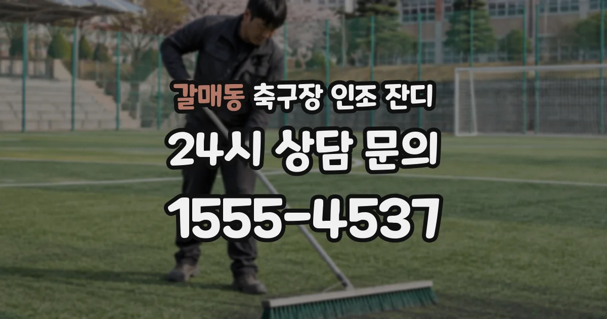 갈매동 축구장 인조 잔디