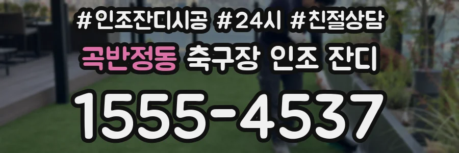 곡반정동 축구장 인조 잔디