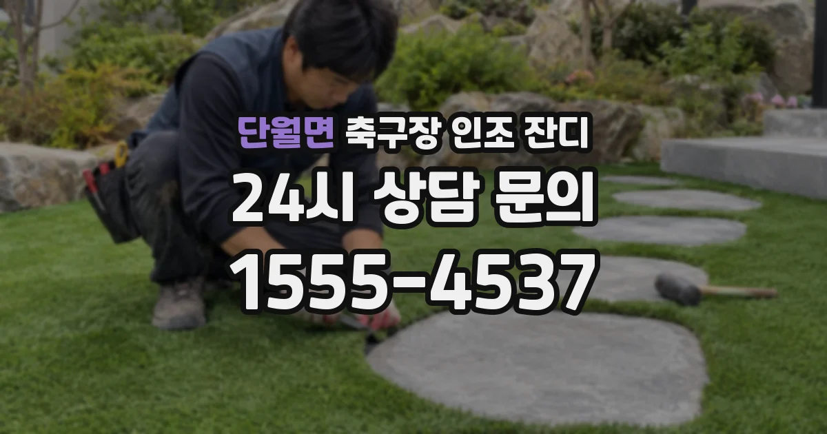 단월면 축구장 인조 잔디