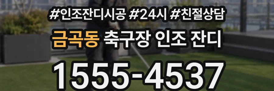 금곡동 축구장 인조 잔디
