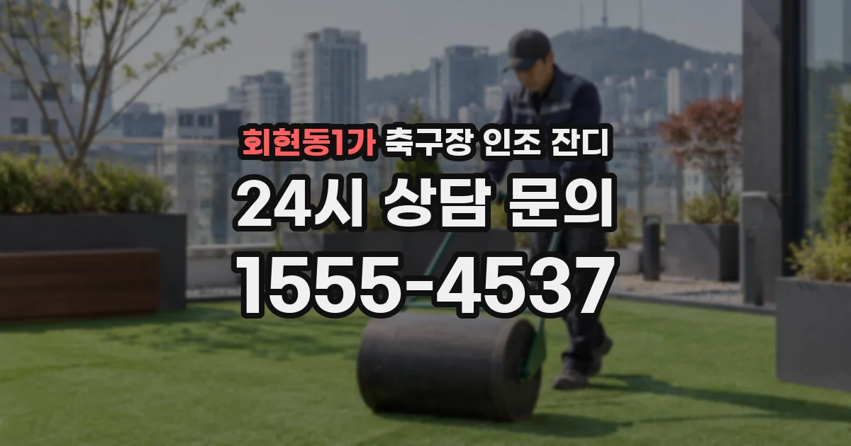 회현동1가 축구장 인조 잔디