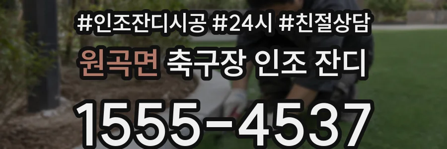 원곡면 축구장 인조 잔디
