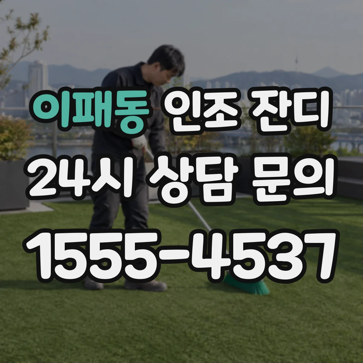 이패동 인조 잔디