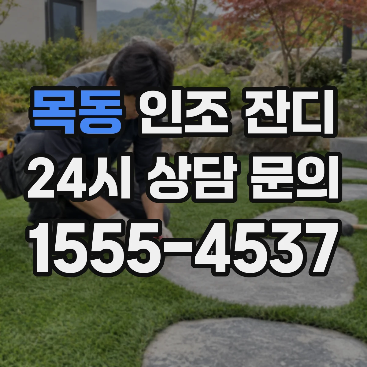 목동 인조 잔디