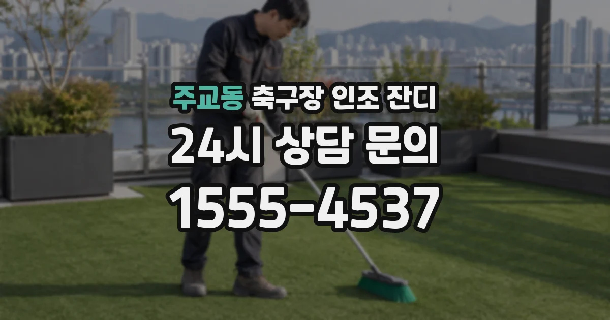 주교동 축구장 인조 잔디