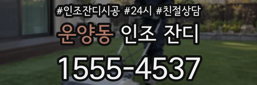 운양동 인조 잔디