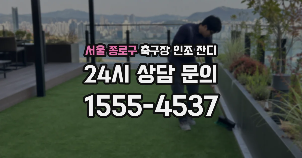 서울 종로구 축구장 인조 잔디