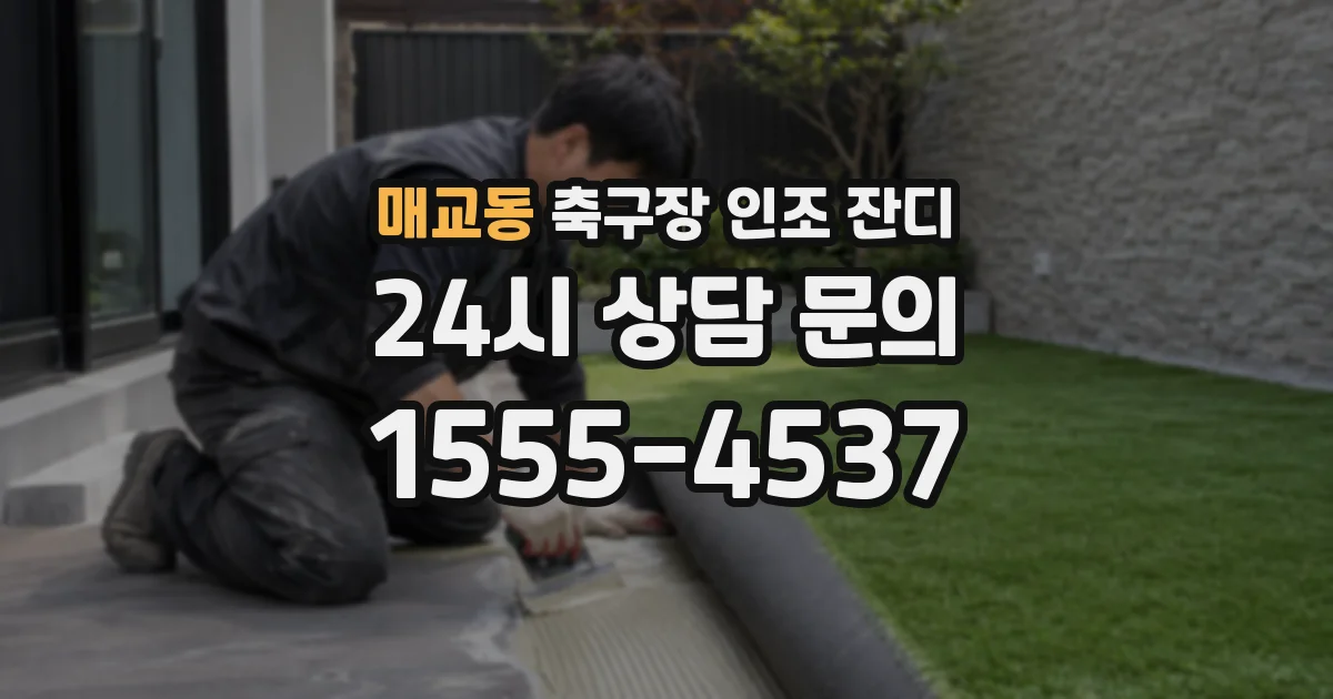 매교동 축구장 인조 잔디