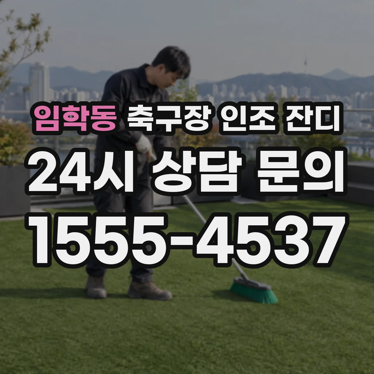 임학동 축구장 인조 잔디
