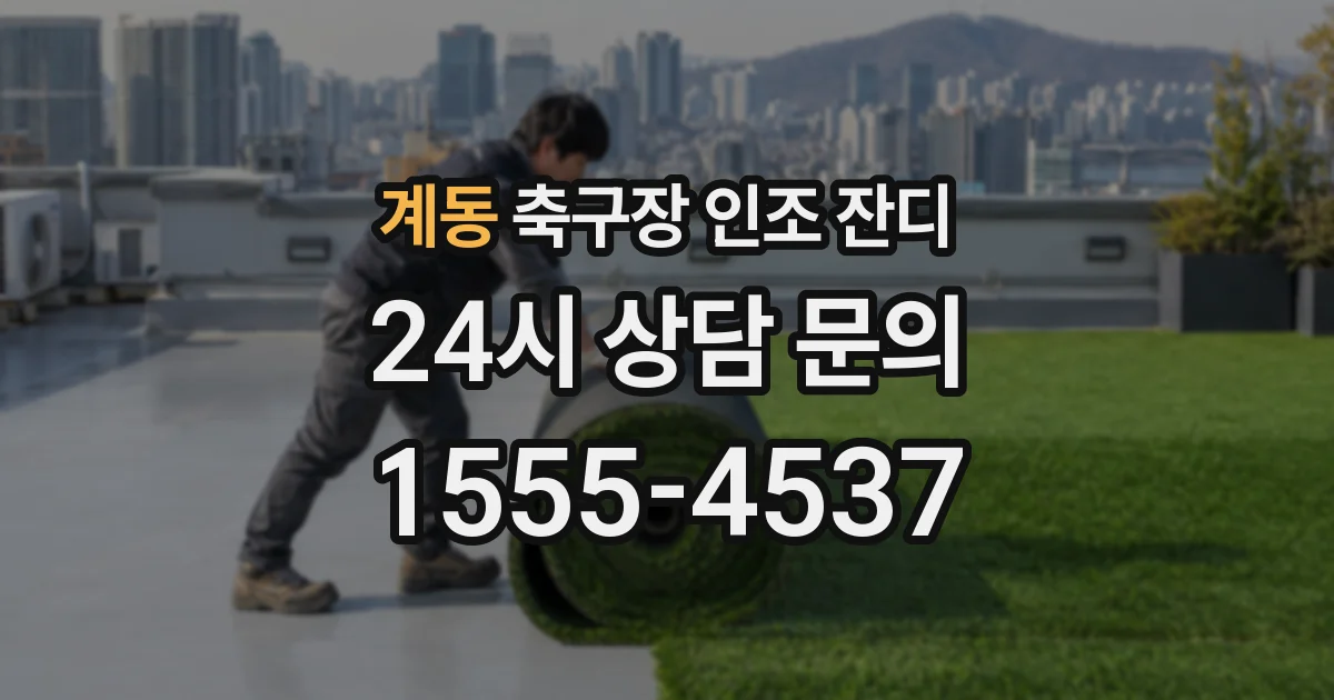 계동 축구장 인조 잔디
