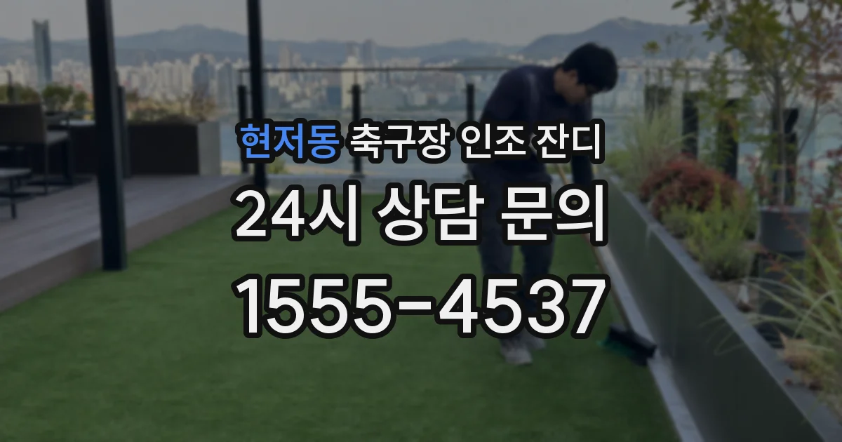 현저동 축구장 인조 잔디