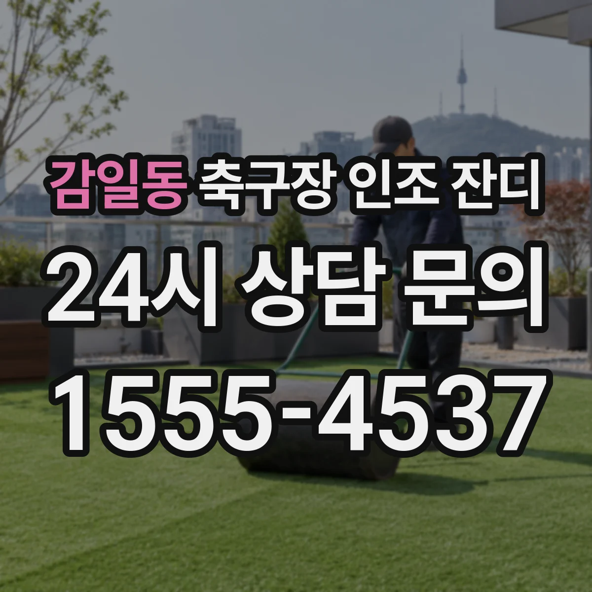 감일동 축구장 인조 잔디