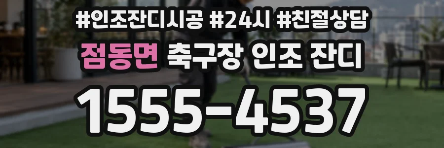점동면 축구장 인조 잔디