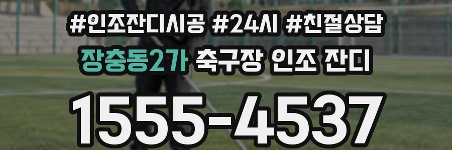장충동2가 축구장 인조 잔디
