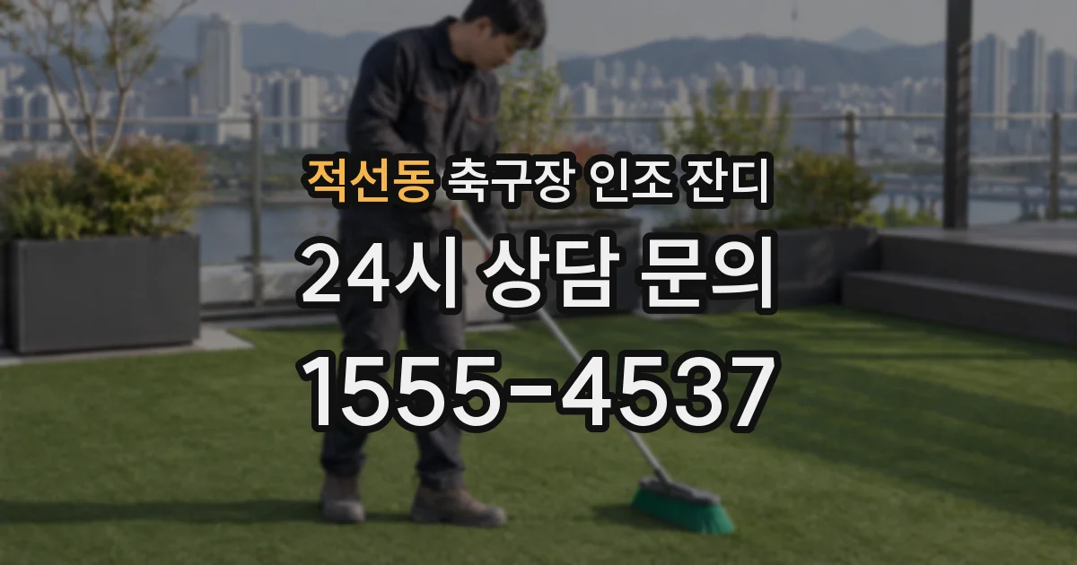 적선동 축구장 인조 잔디