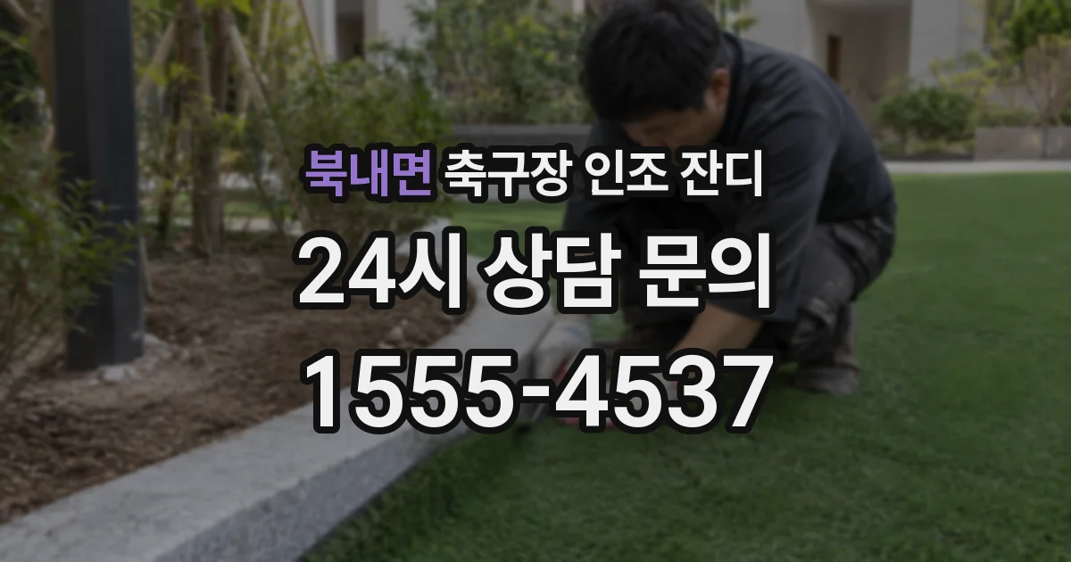 북내면 축구장 인조 잔디