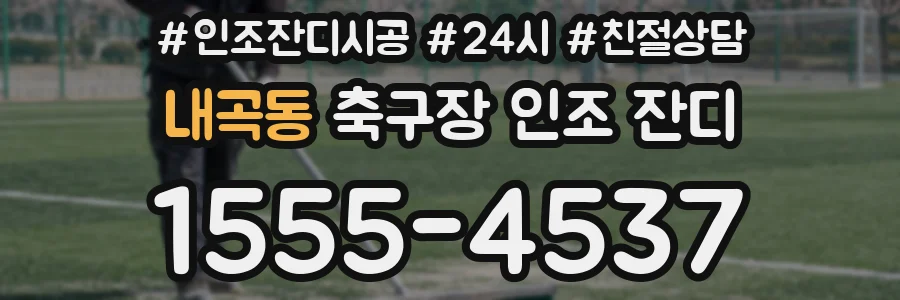 내곡동 축구장 인조 잔디