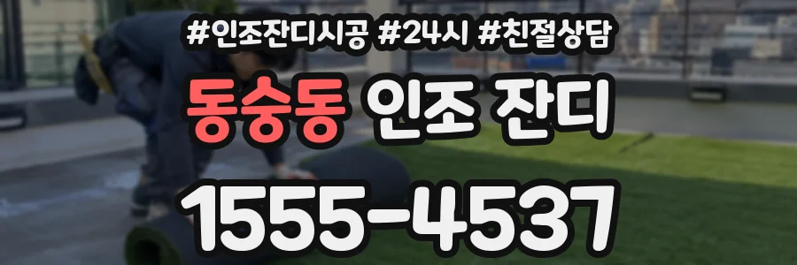 동숭동 인조 잔디