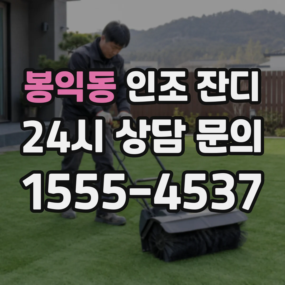봉익동 인조 잔디