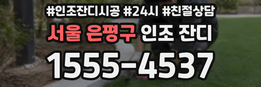 서울 은평구 인조 잔디