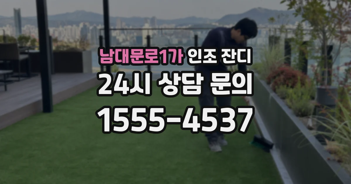 남대문로1가 인조 잔디