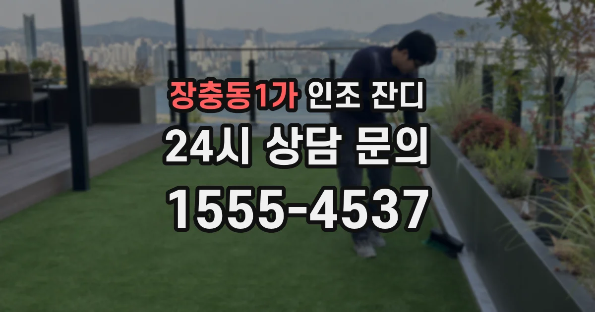 장충동1가 인조 잔디
